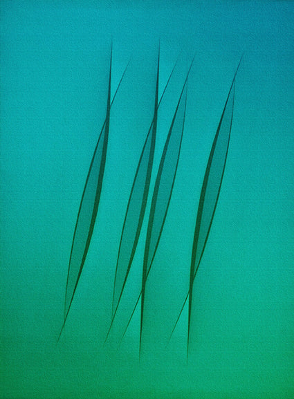 Spighe poster d'autore