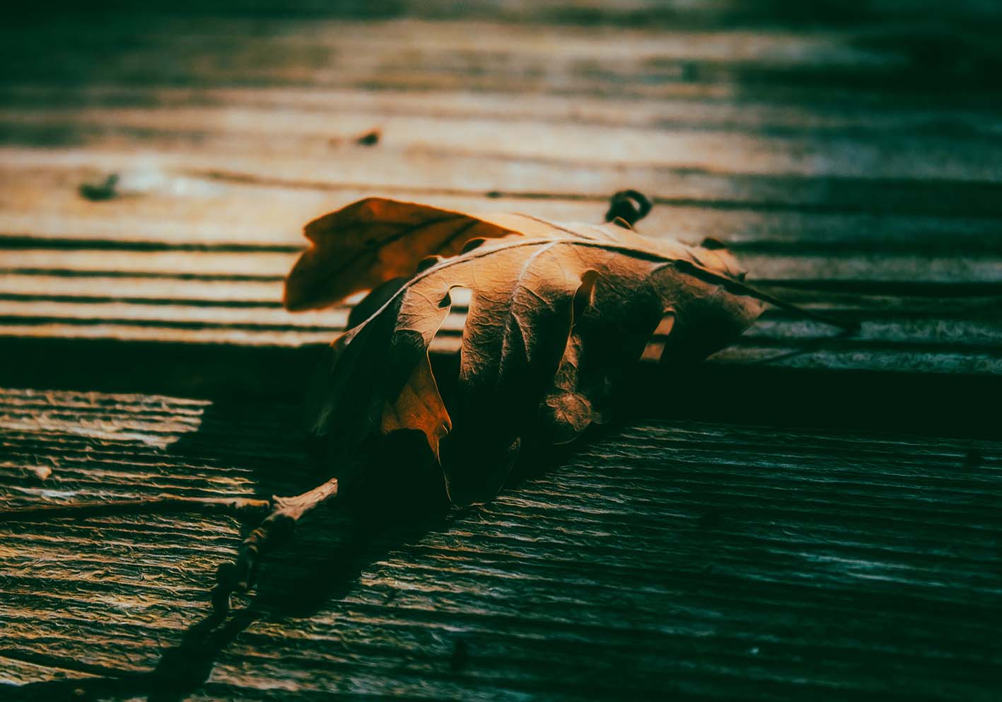 Ode to Autumn Author's Poster