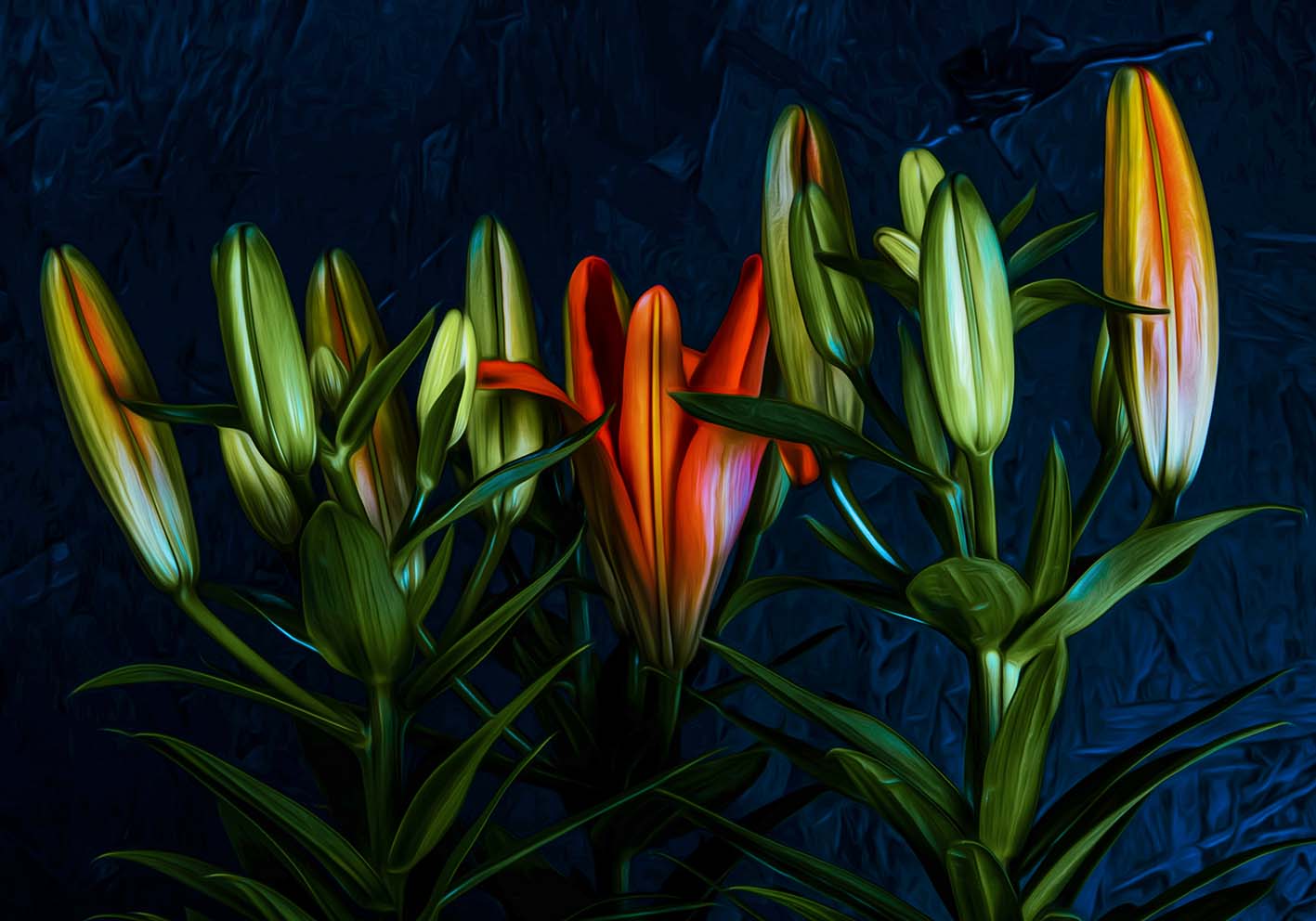 fiori notturni poster d'autore