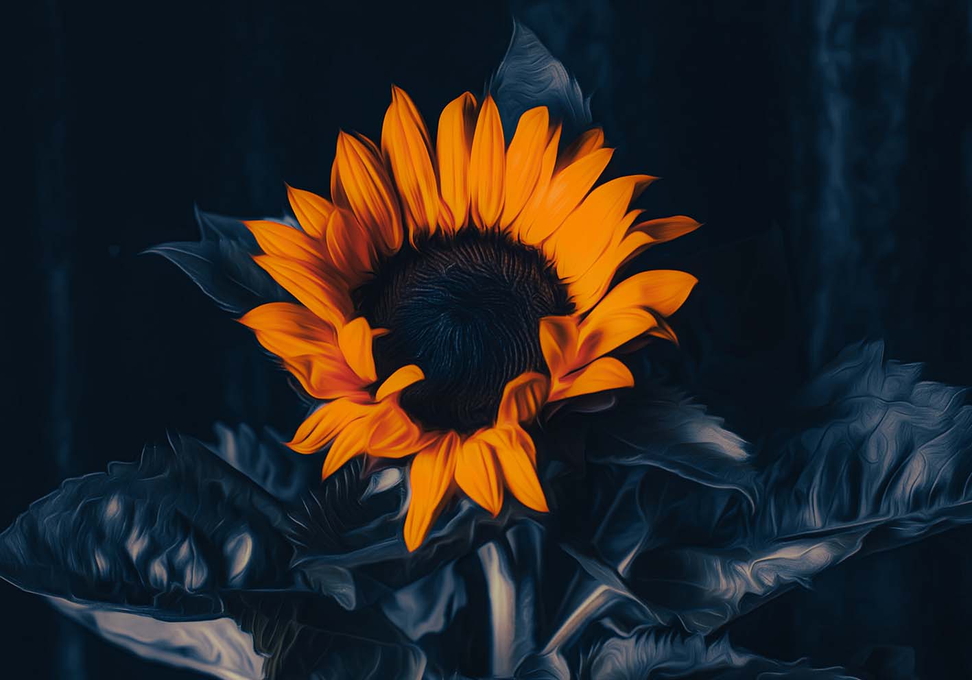 The Night Sunflower Author's Poster