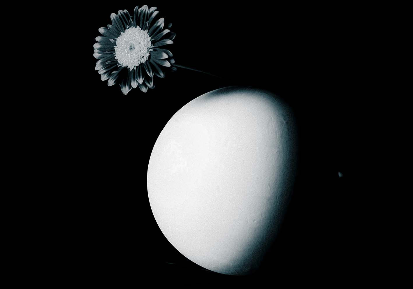 The flower on the moon poster by author