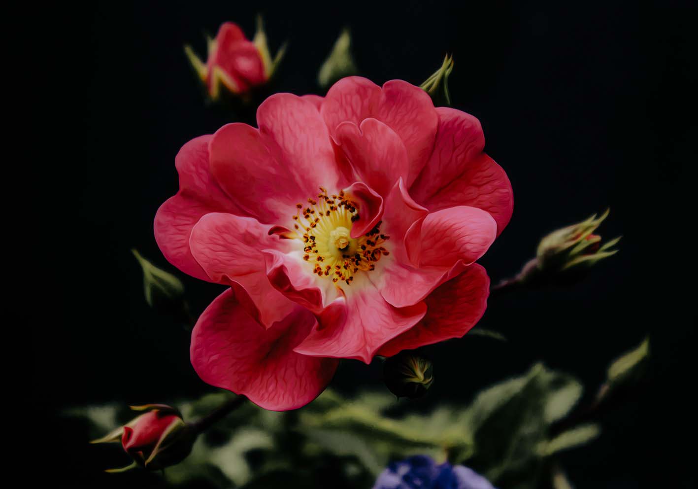 The flower of flesh author's poster