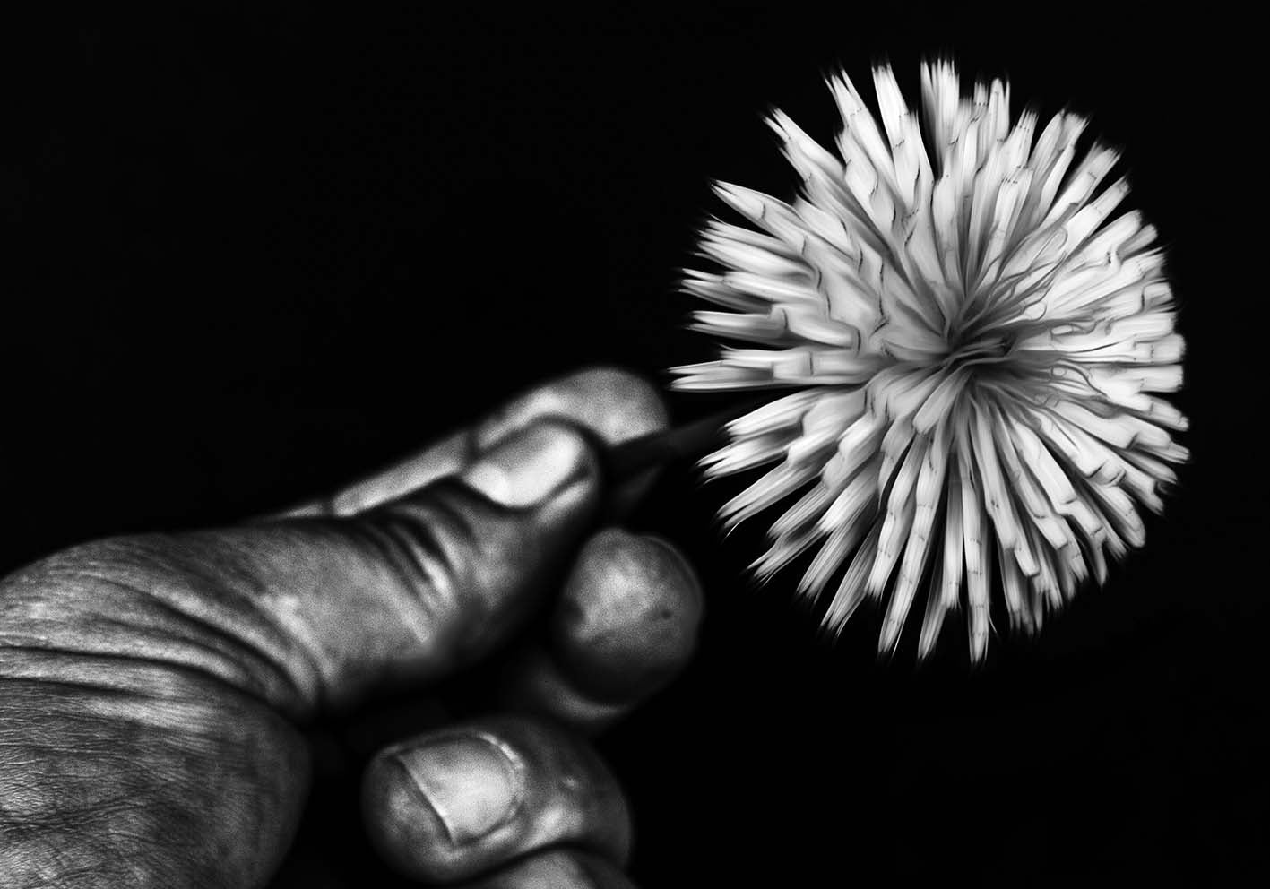 Cogli un fiore poster d'autore