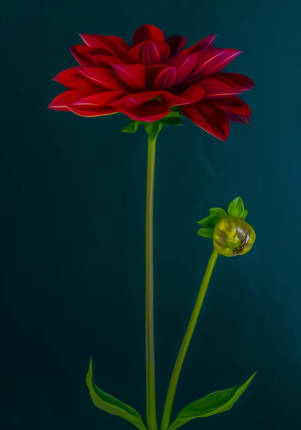Queen of Flowers