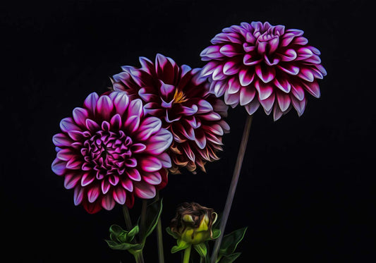 flowers in the dark  poster d'autore