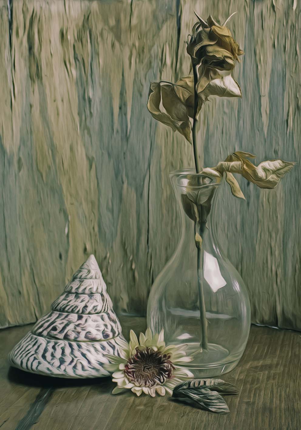 Fiori e conchiglia poster fotografico