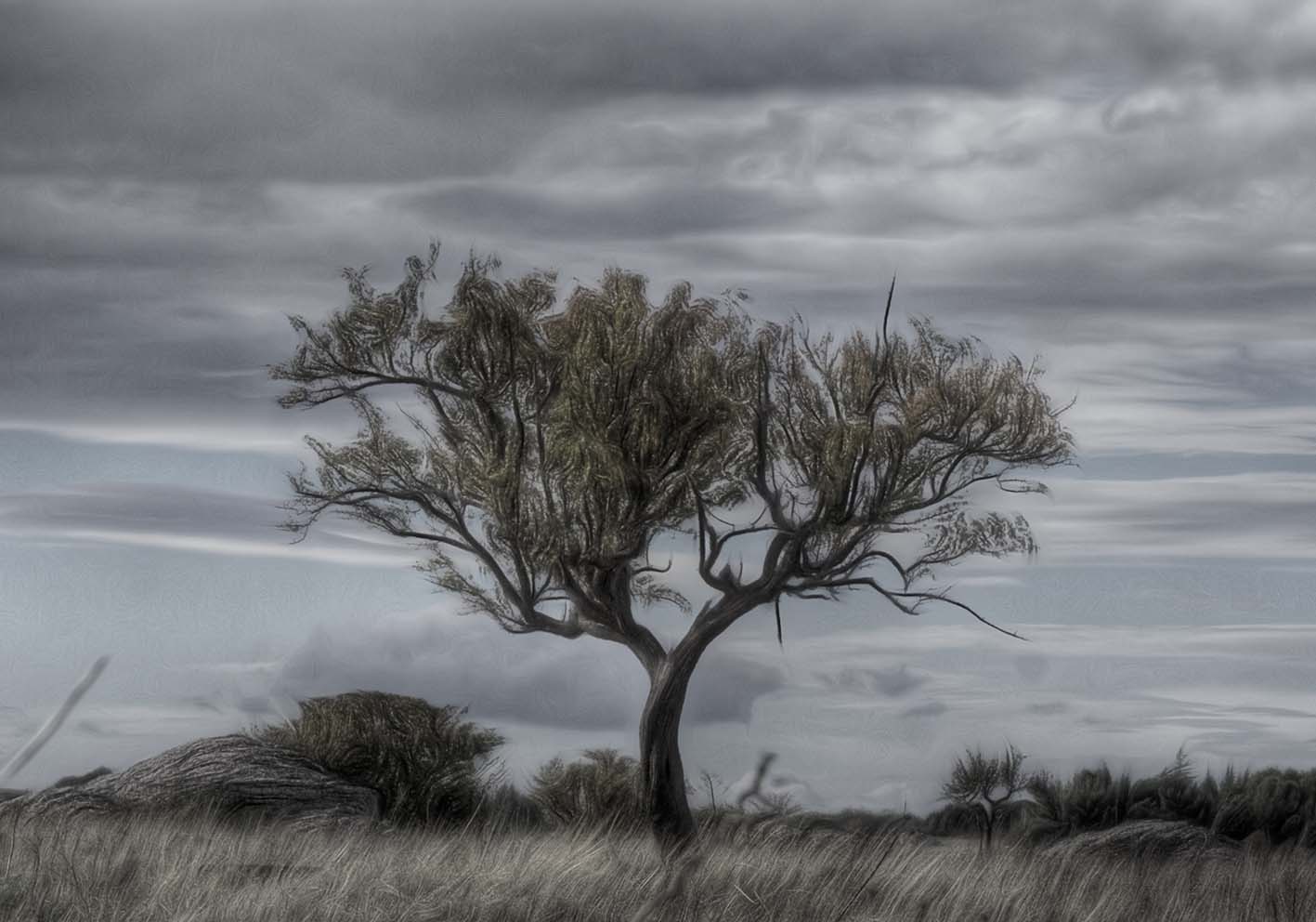 A gennaio poster d'autore