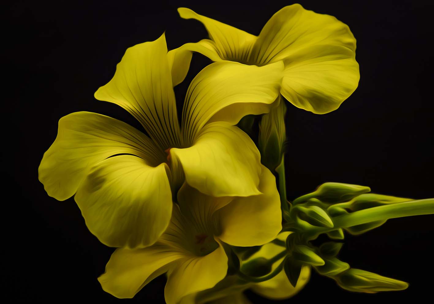 Silk flowers author poster