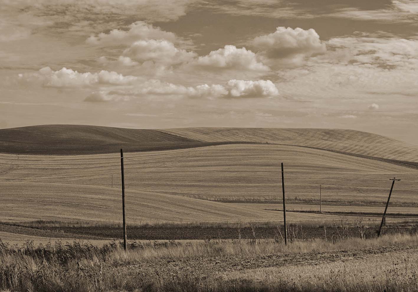 silent landscape poster by the author