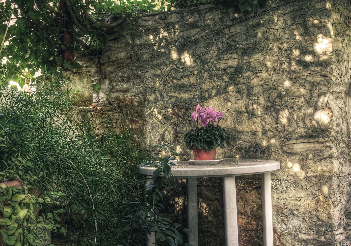 Vaso di fiori poster d'autore