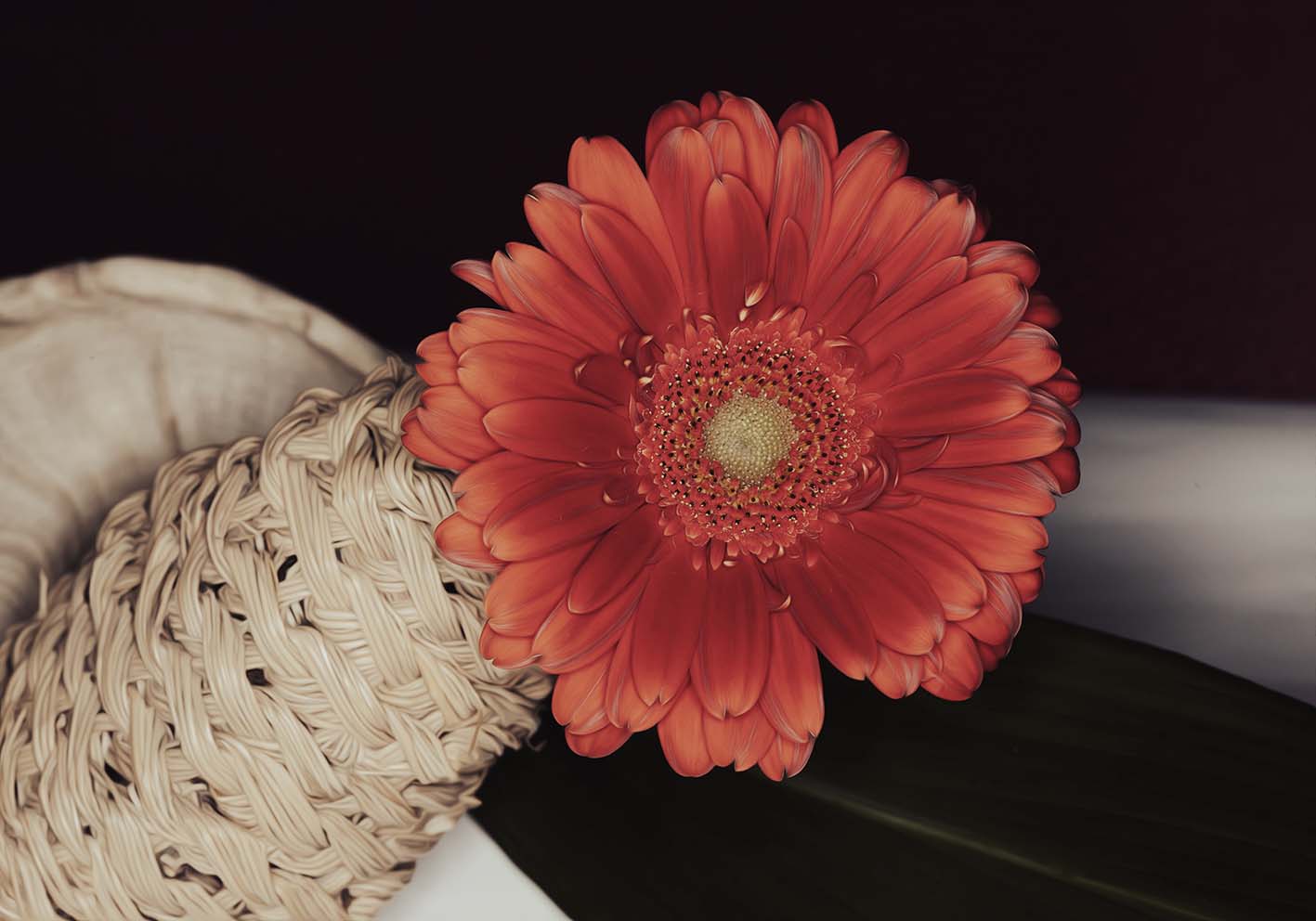 Flower of joy author poster