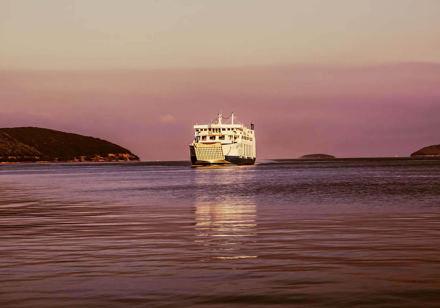 The ferry at dawn author poster
