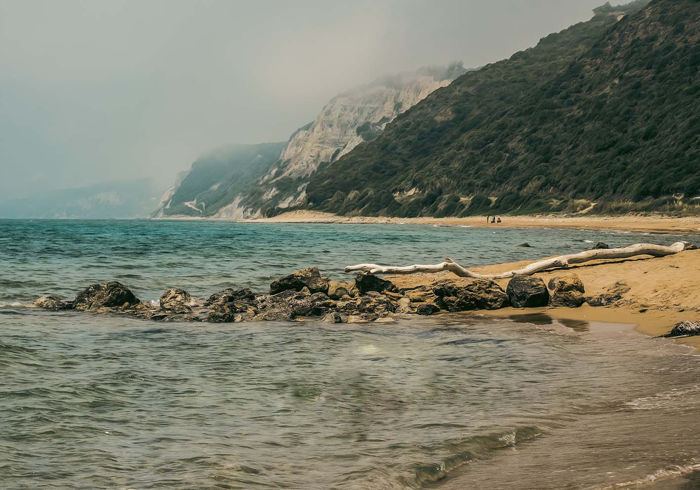 fog in Corfu author poster