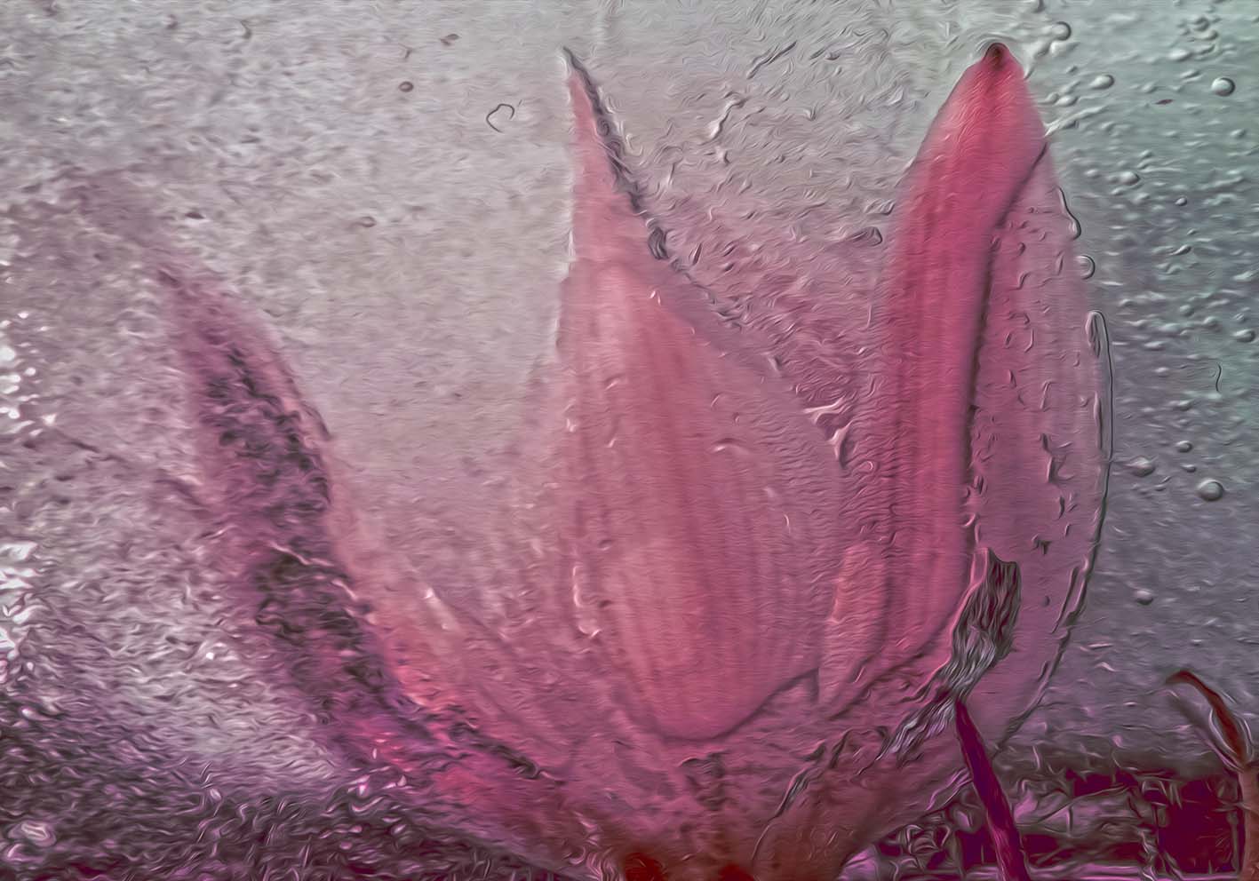 Pink petals author poster (Copy)