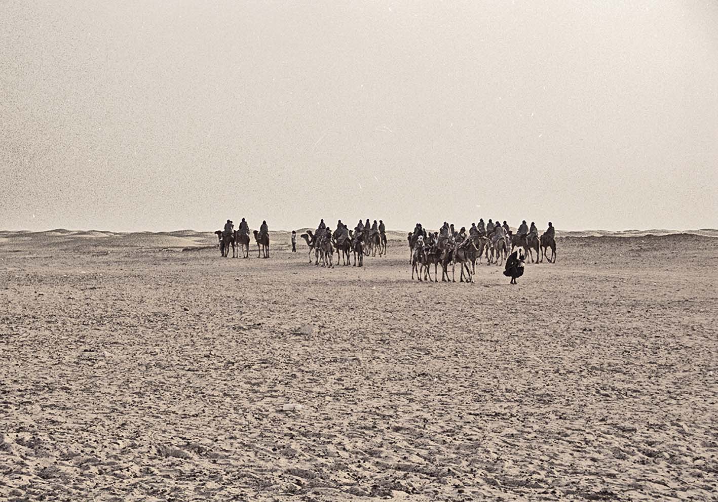 Deserto e tuareg poster d'autore