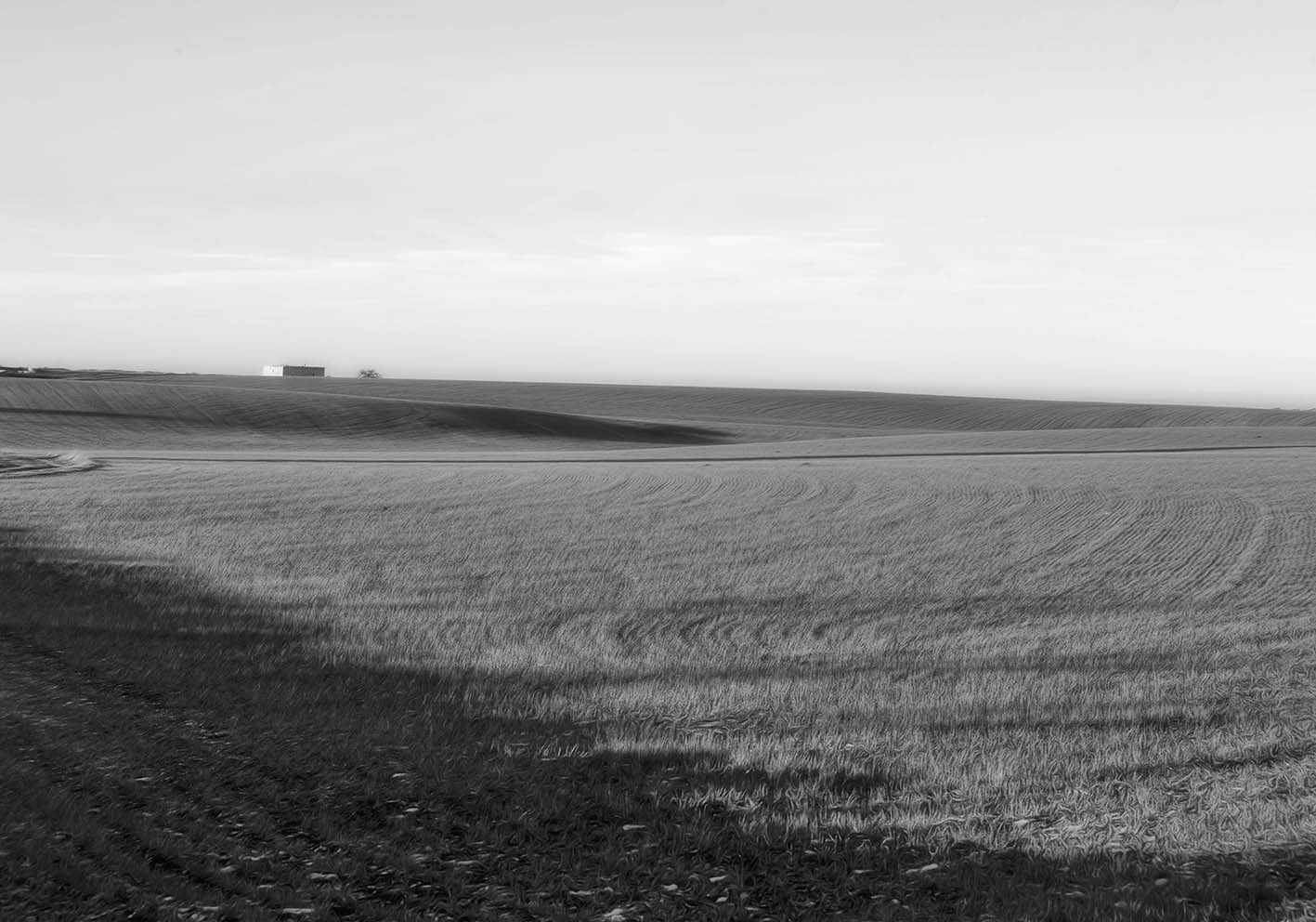 Black and white landscape author poster