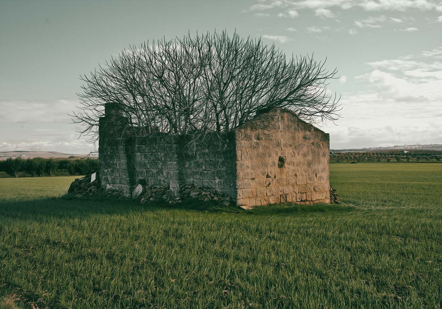 Archetipo poster d'autore