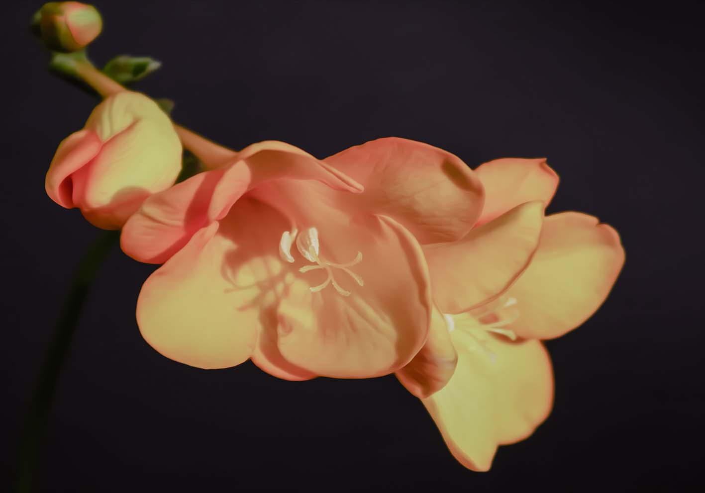 Petaloso poster d'autore