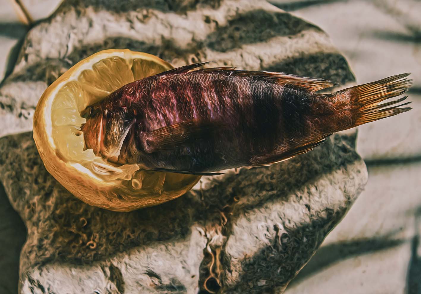 Voleva essere un delfino poster d'autore