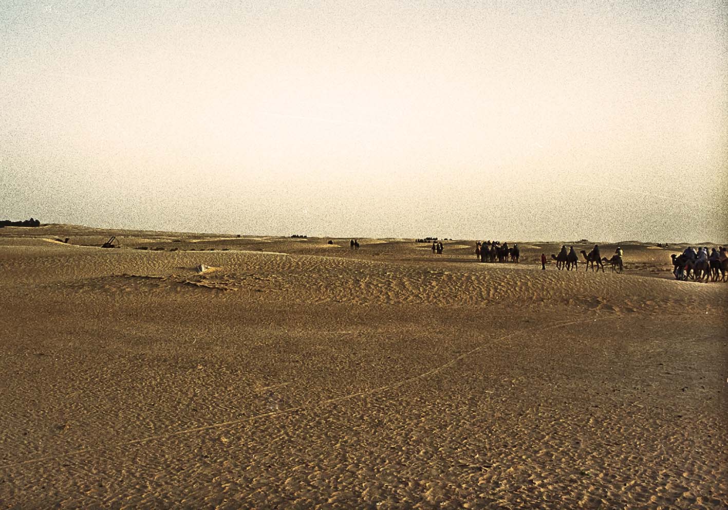 Deserto di Tunisi poster d'autore