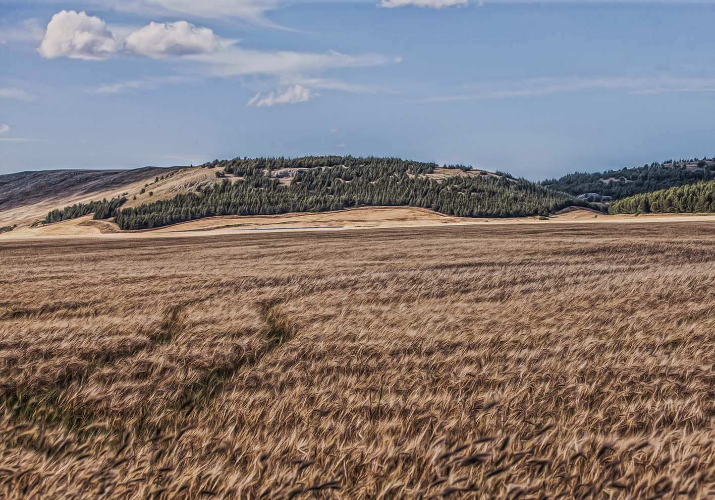 Il grano d'estate poster d'autore