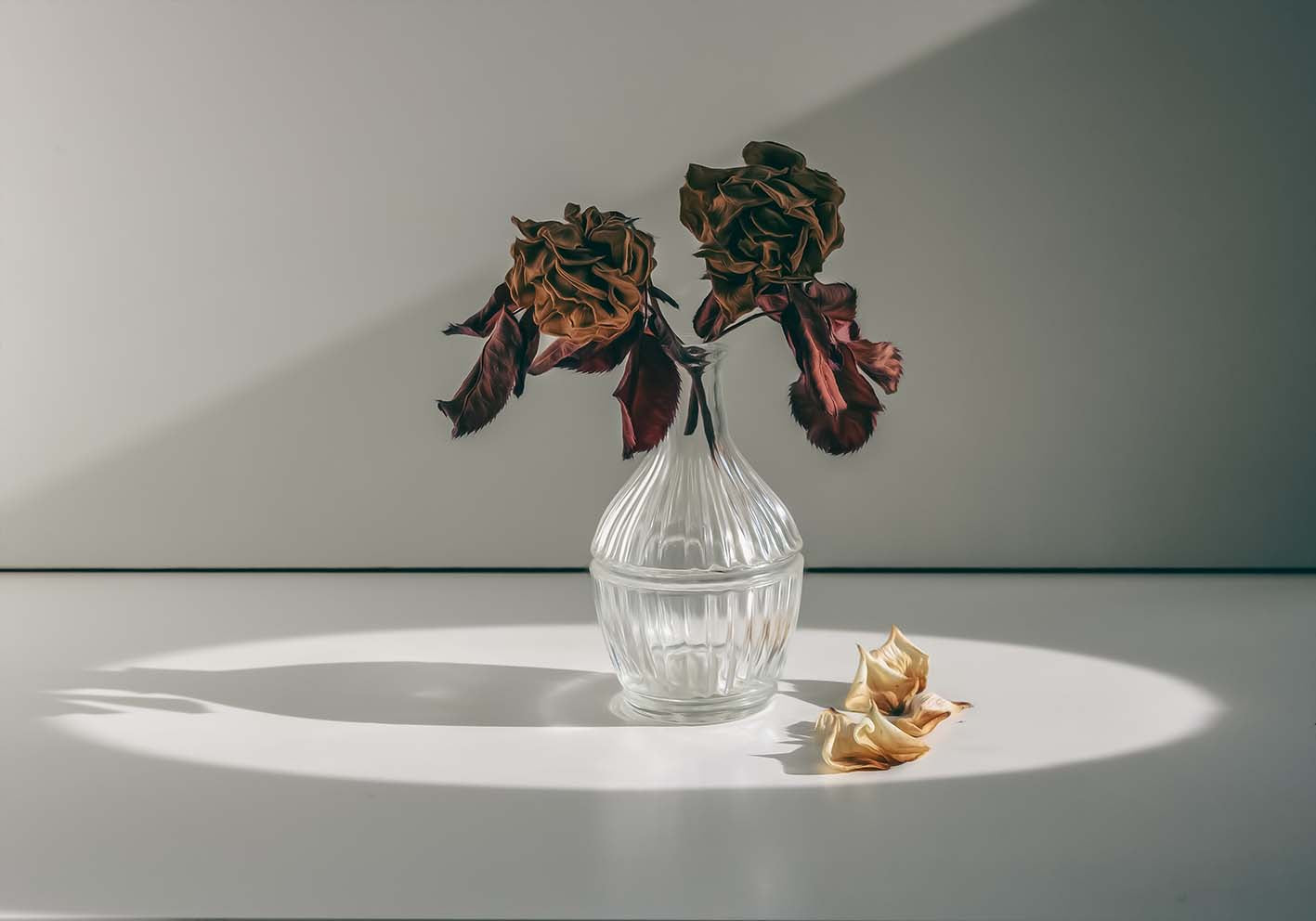I fiori protagonisti poster d'autore