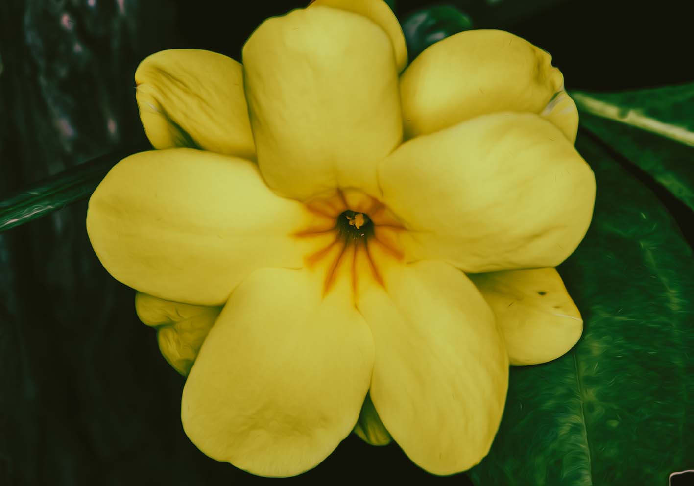 Stella gialla poster d'autore