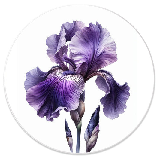 Iris Piatto da parete decorativo