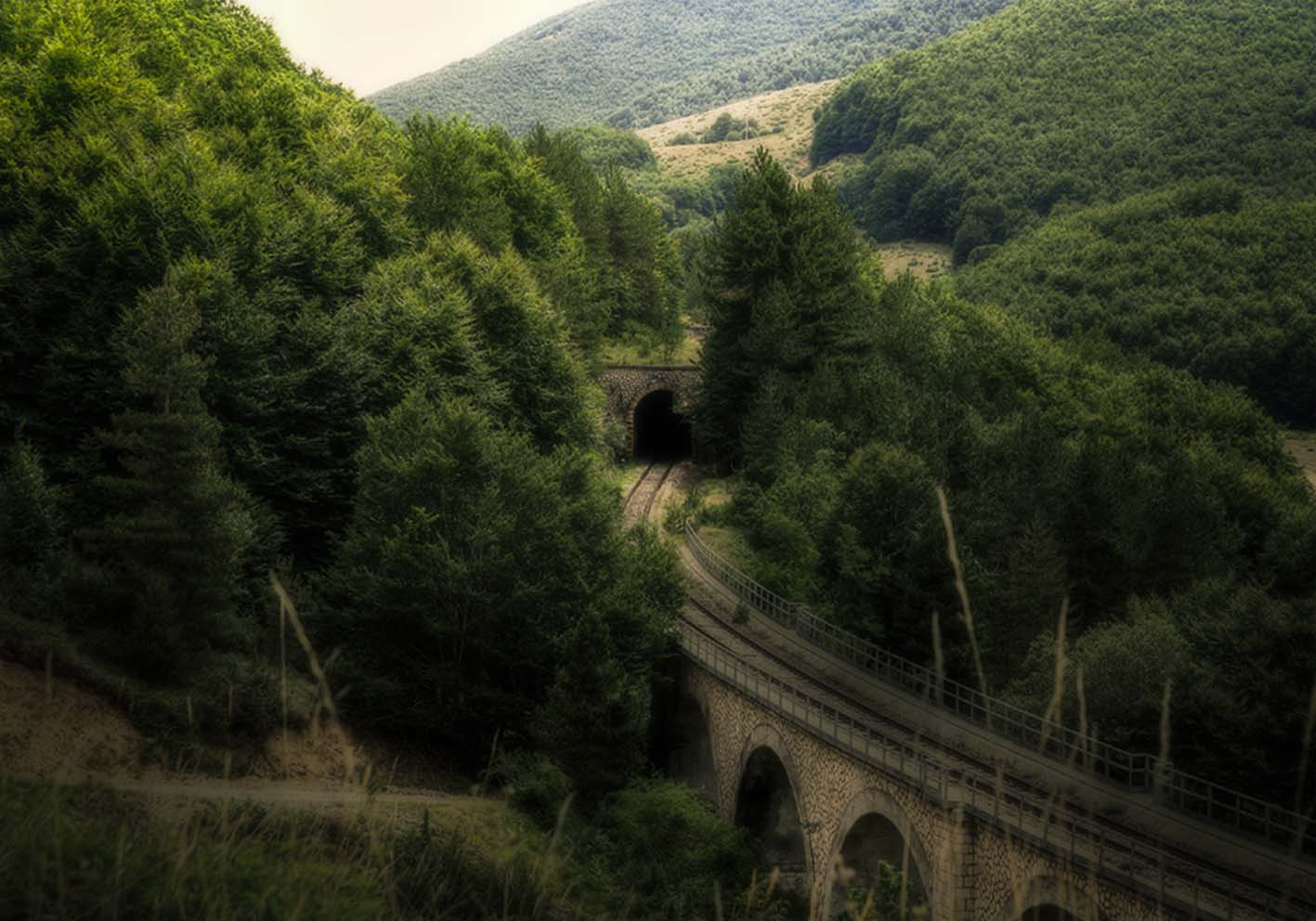 Ferrovia tra i boschi poster d'autore