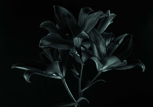 Darkness author poster