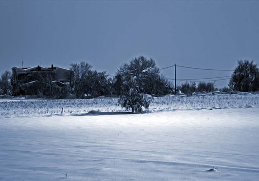 Lonely in the snow author poster