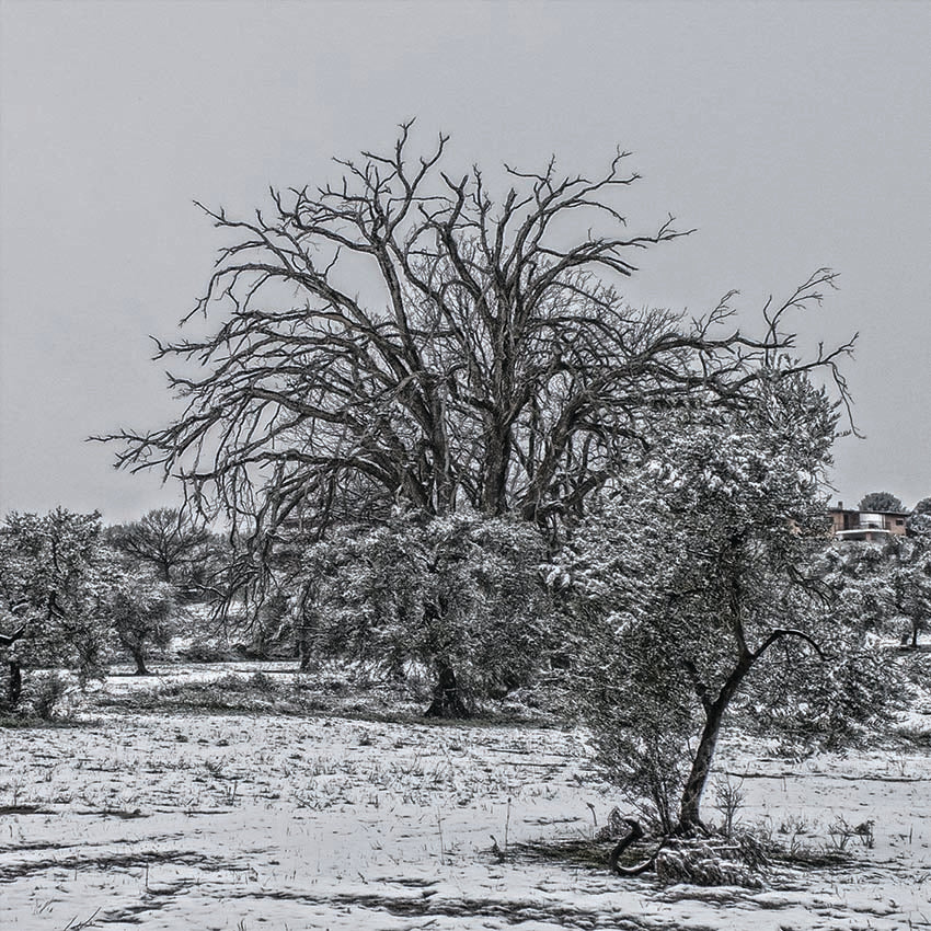 Neve a novembre poster d'autore