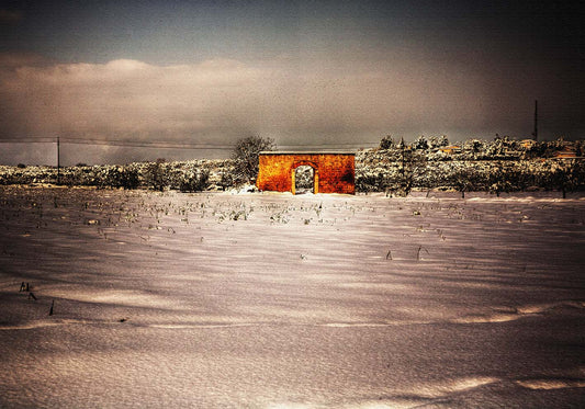 What remains of winter author poster