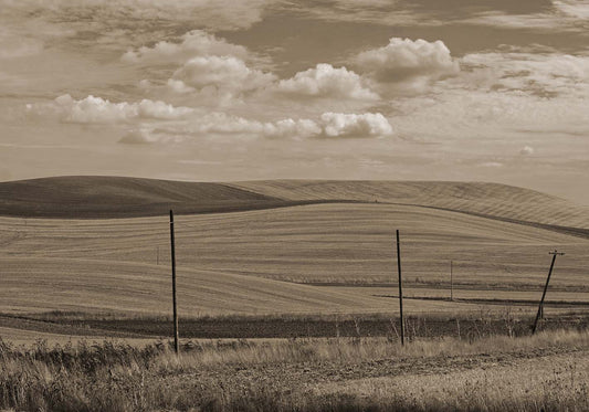 silent landscape poster by the author