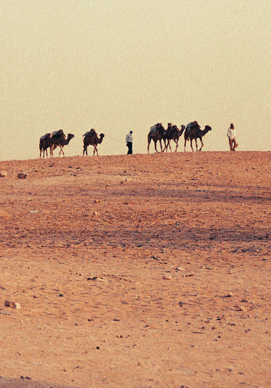 Deserto del Sahara poster fotografico