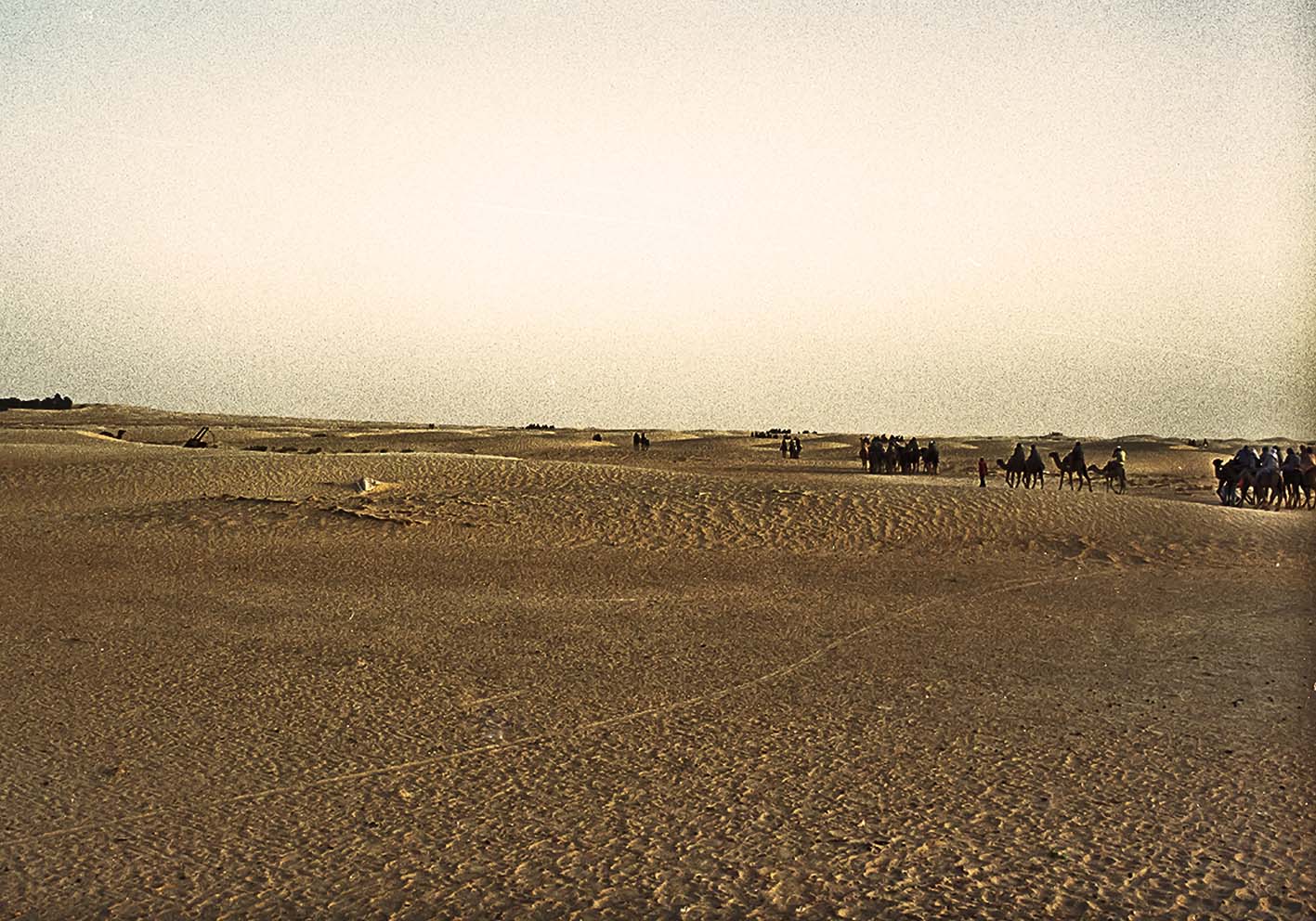 Deserto di Tunisi poster d'autore