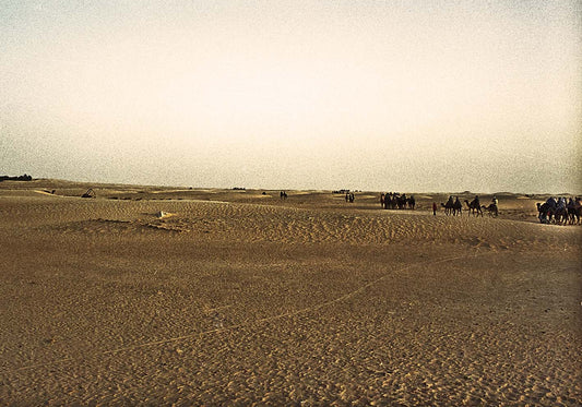 Deserto di Tunisi poster d'autore