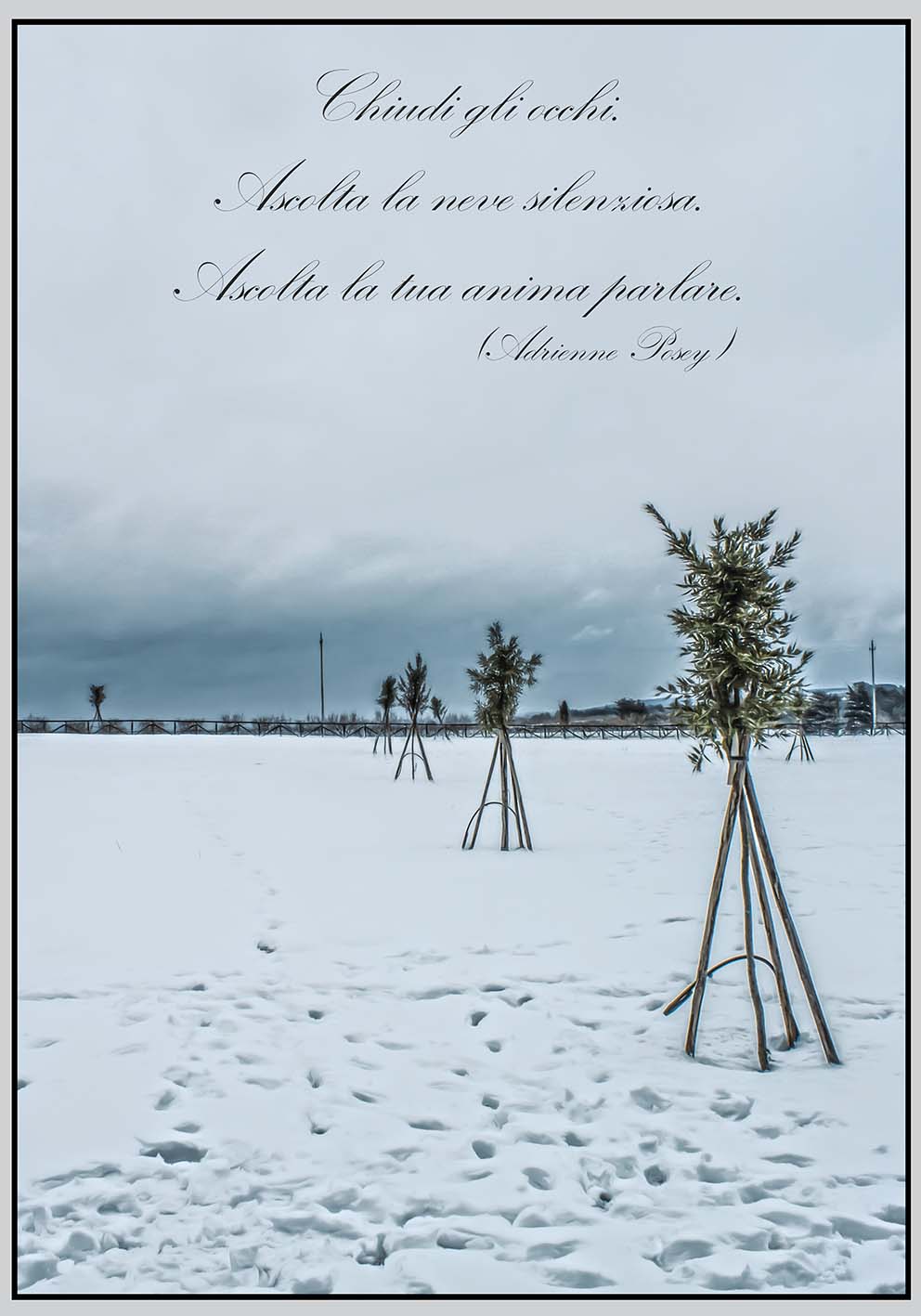 Neve e poesia poster fotografico