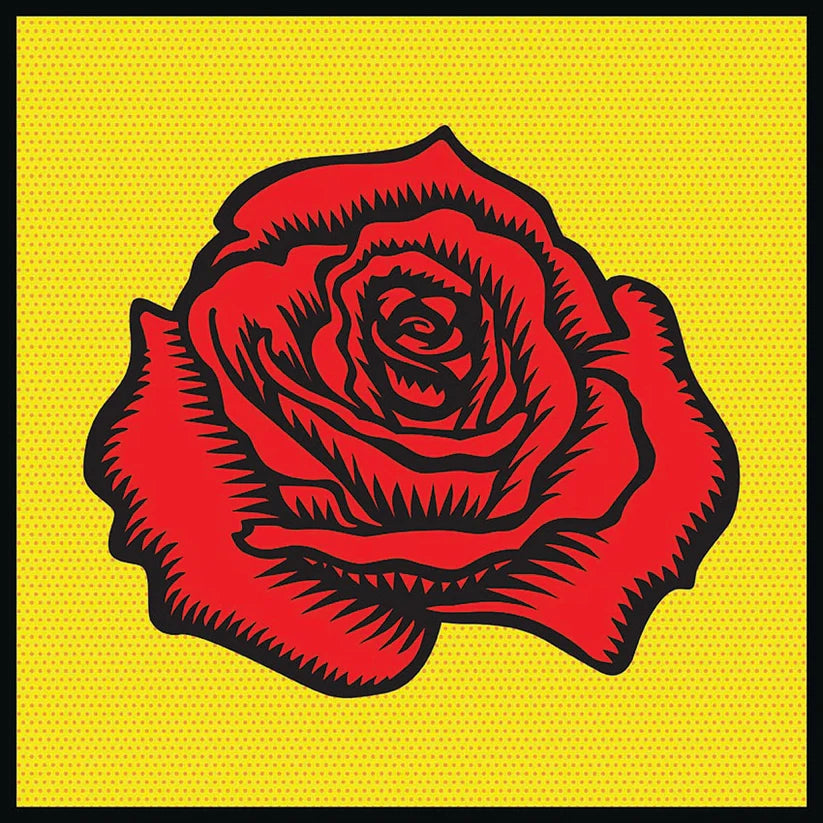 Rosa rossa poster d'autore